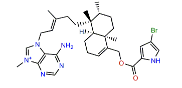 Agelasine Q